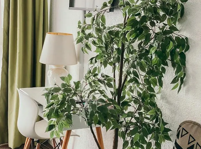 Adorable Sur La * Biarritz